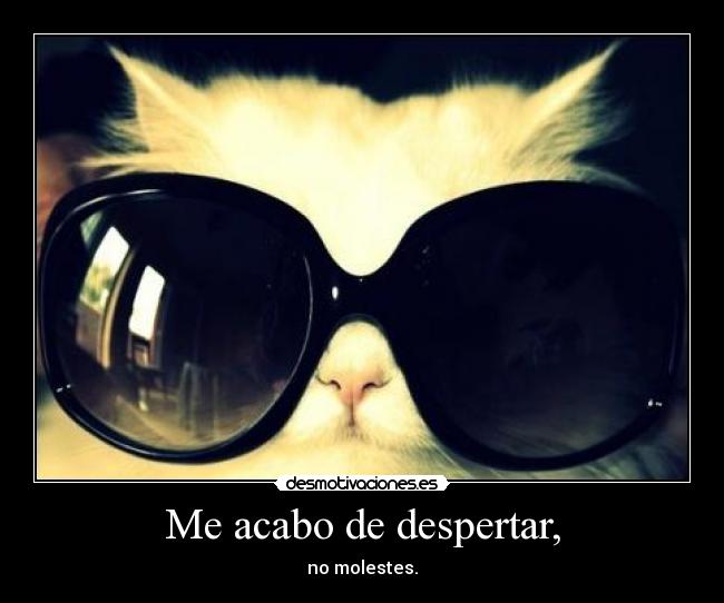 Me acabo de despertar, - no molestes.