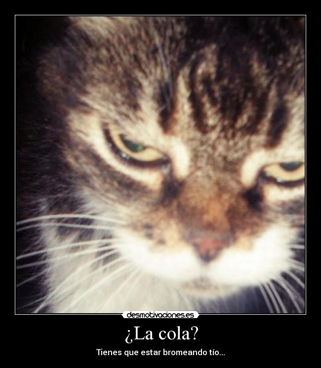 ¿La cola? - Tienes que estar bromeando tío...