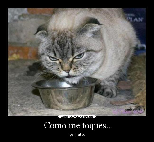 Como me toques.. - te mato.