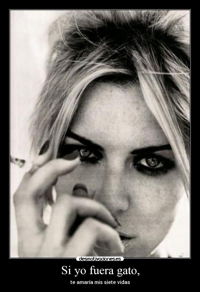 Si yo fuera gato, -