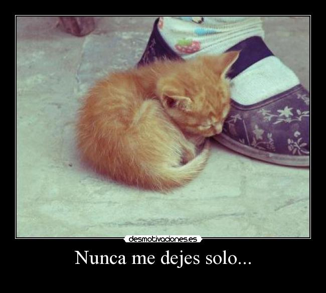 Nunca me dejes solo... -