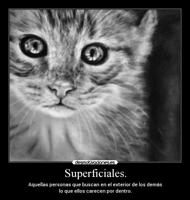 carteles walt dejo este gatoscomo ofrenda das una principal desmotivaciones