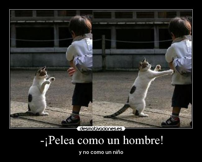 -¡Pelea como un hombre! - y no como un niño