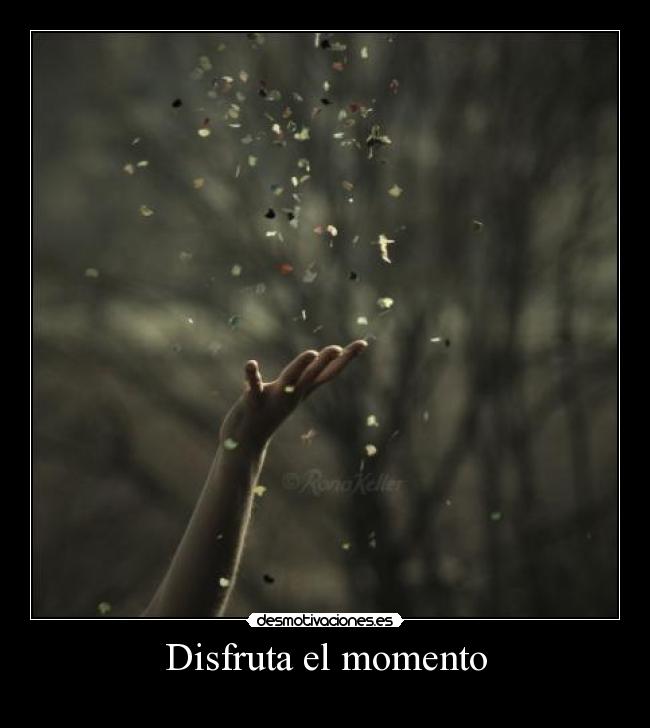 Disfruta el momento - 