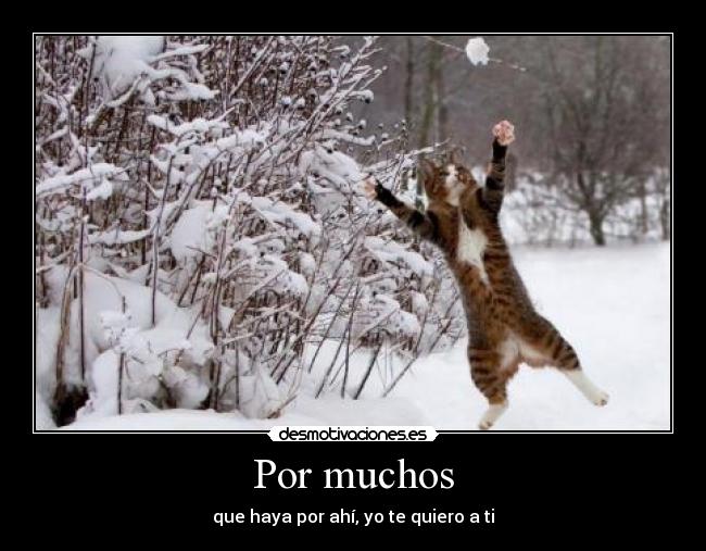 Por muchos - 