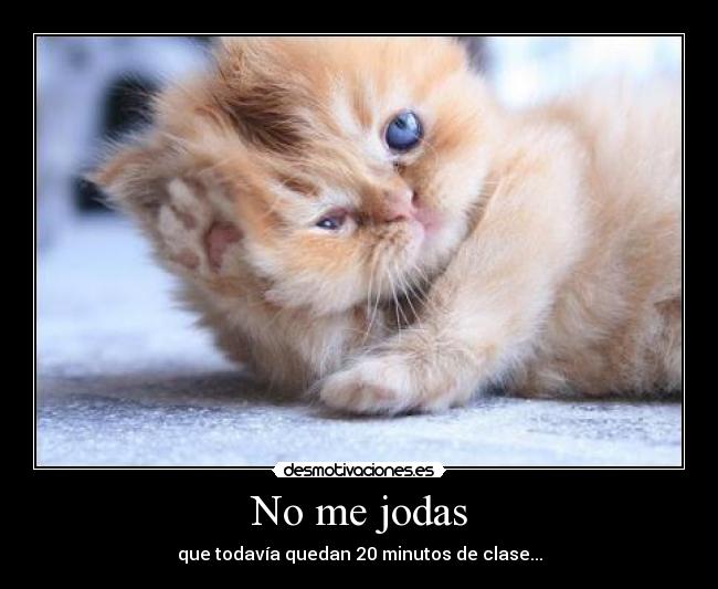 No me jodas -