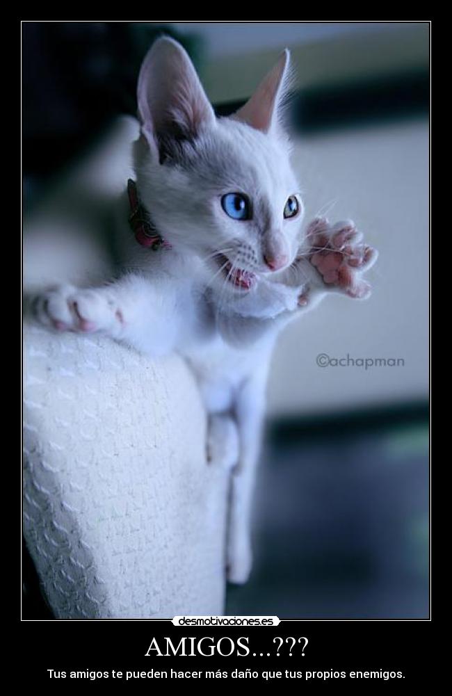AMIGOS...??? - Tus amigos te pueden hacer más daño que tus propios enemigos.