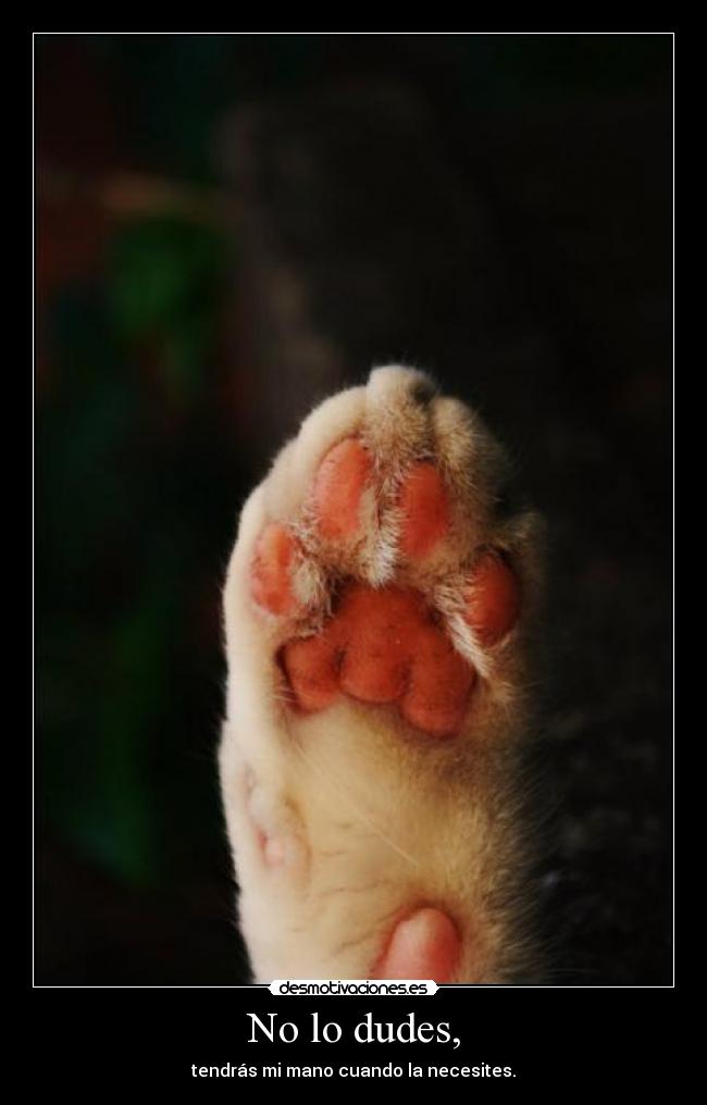 carteles clanfightingthedarknessestatobueno mew desmotivaciones