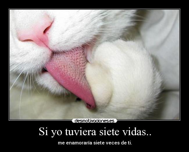 Si yo tuviera siete vidas.. - me enamoraría siete veces de ti.
