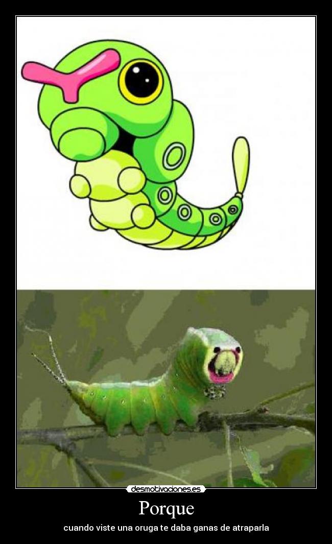 carteles pokemon caterpie atrapar porque desmotivaciones
