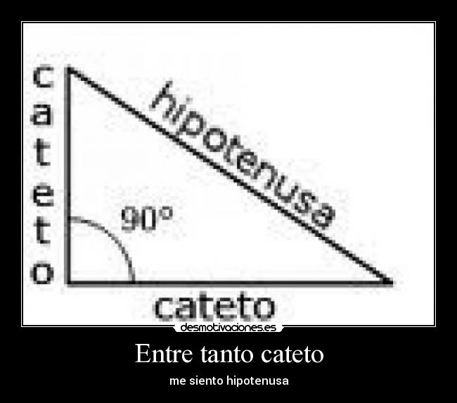 Entre tanto cateto - me siento hipotenusa