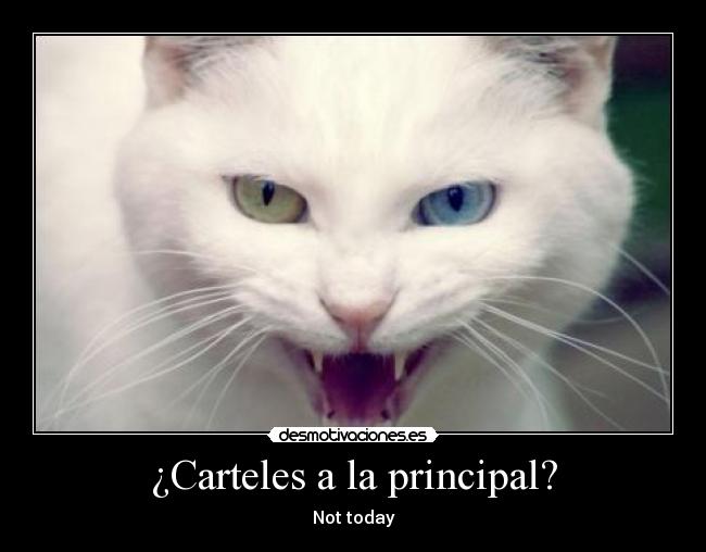 ¿Carteles a la principal? - Not today