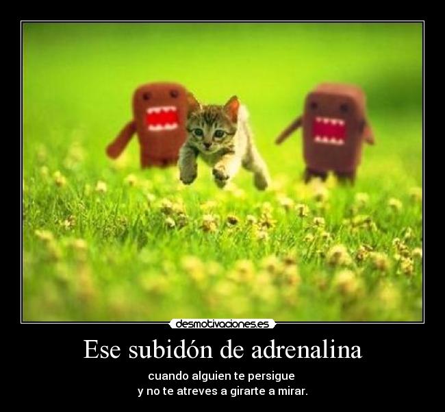 Ese subidón de adrenalina - cuando alguien te persigue
y no te atreves a girarte a mirar.