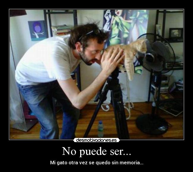 No puede ser... - 
