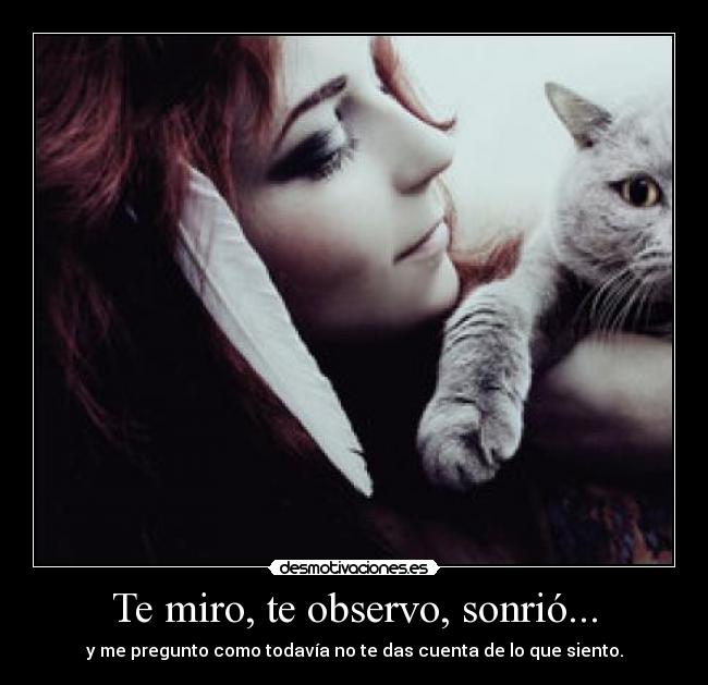 carteles quiero ariadnap desmotivaciones