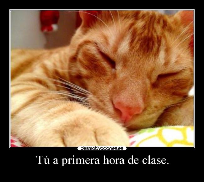Tú a primera hora de clase. -