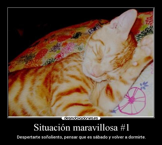 Situación maravillosa #1 - 