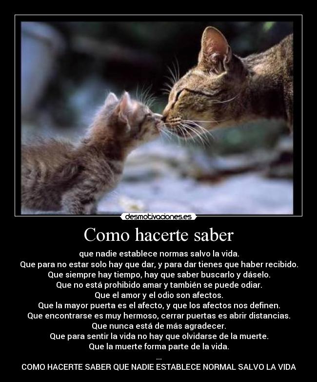 Como hacerte saber - que nadie establece normas salvo la vida.
Que para no estar solo hay que dar, y para dar tienes que haber recibido.
Que siempre hay tiempo, hay que saber buscarlo y dáselo.
Que no está prohibido amar y también se puede odiar.
Que el amor y el odio son afectos.
Que la mayor puerta es el afecto, y que los afectos nos definen.
Que encontrarse es muy hermoso, cerrar puertas es abrir distancias.
Que nunca está de más agradecer.
Que para sentir la vida no hay que olvidarse de la muerte.
Que la muerte forma parte de la vida.
...
COMO HACERTE SABER QUE NADIE ESTABLECE NORMAL SALVO LA VIDA