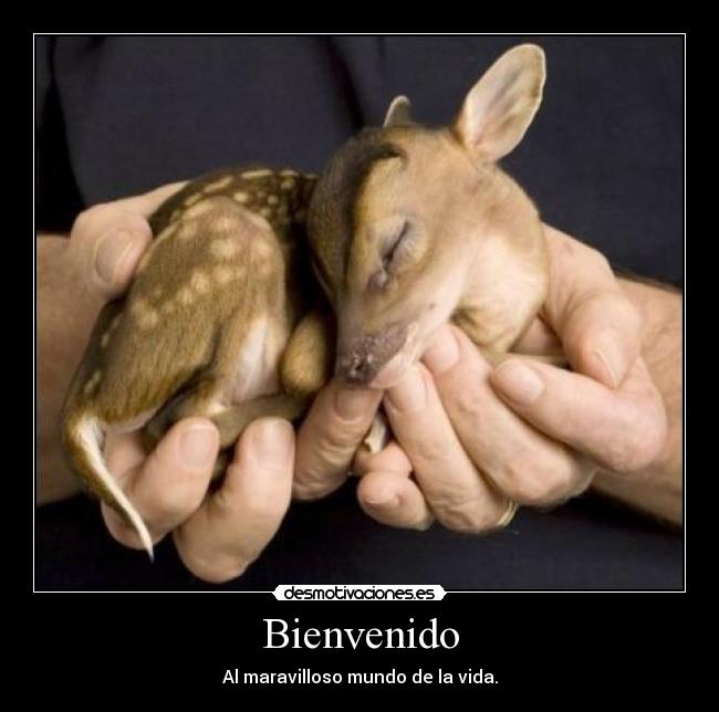 Bienvenido - Al maravilloso mundo de la vida.
