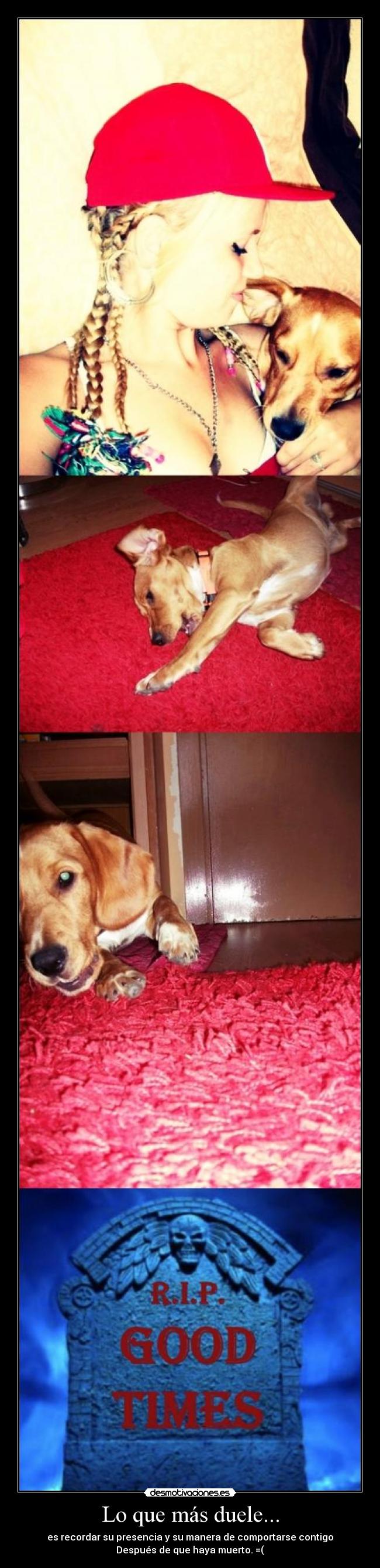 Lo que más duele... - es recordar su presencia y su manera de comportarse contigo
Después de que haya muerto. =(