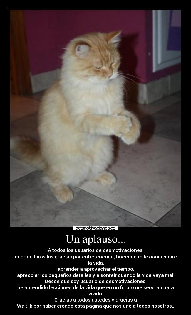 Un aplauso... -