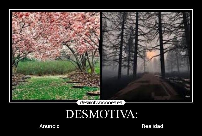DESMOTIVA: - Anuncio Realidad
