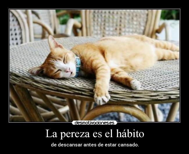 La pereza es el hábito - 