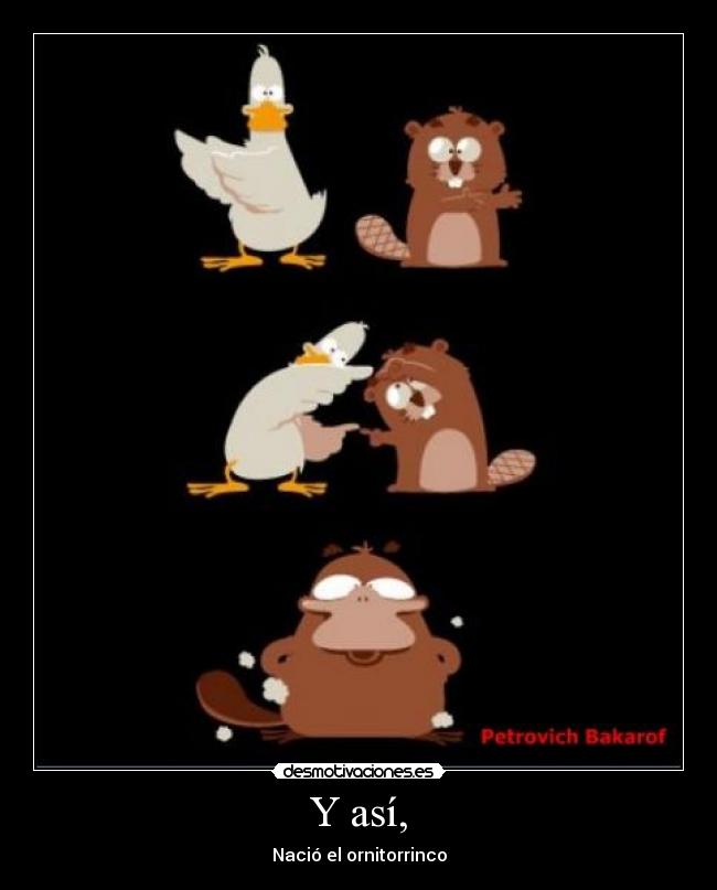 carteles ornitorrinco pato feo castor umaga lollipop petrovich bakarof ushalala desmotivaciones