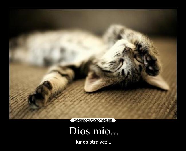 Dios mio... - lunes otra vez...