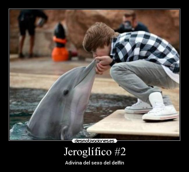 carteles delfin beso gay bieber desmotivaciones