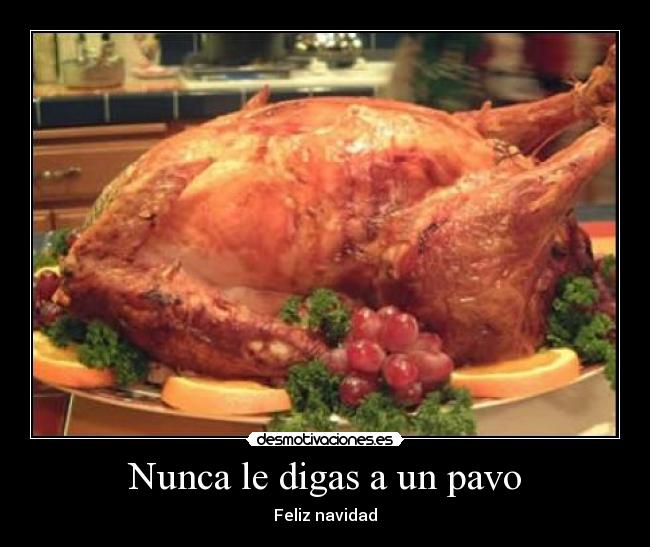 Nunca le digas a un pavo - 