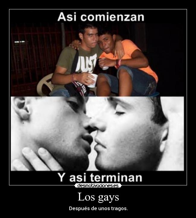 Los gays - 