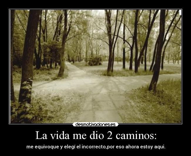 La vida me dio 2 caminos: - me equivoque y elegí el incorrecto,por eso ahora estoy aqui.