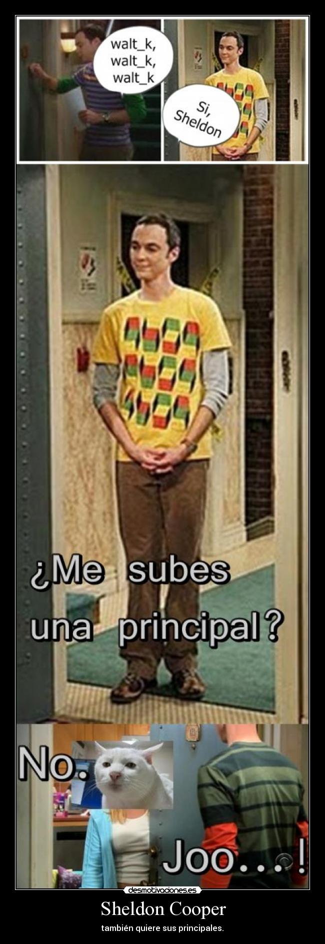 Sheldon Cooper - también quiere sus principales.