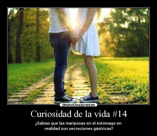 Curiosidad de la vida #14 - ¿Sabias que las mariposas en el estómago en 
realidad son secreciones gástricas?