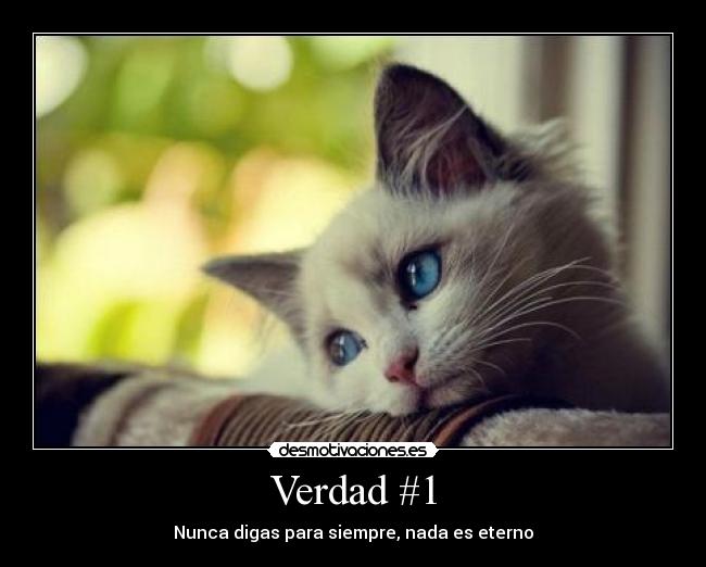 carteles aiiiiiii desmotivaciones