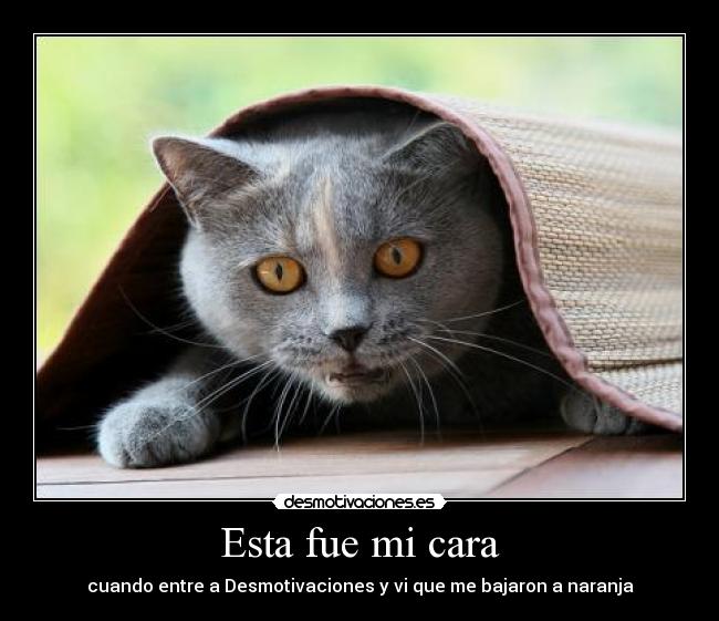 carteles saber que cara puso xaoaoax xdddd agradeceme esta mierda cartel cuando veas desmotivaciones