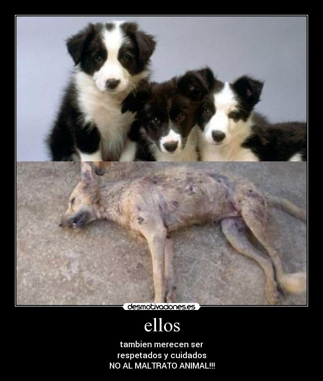 ellos -