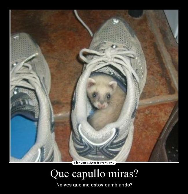 Que capullo miras? - No ves que me estoy cambiando?