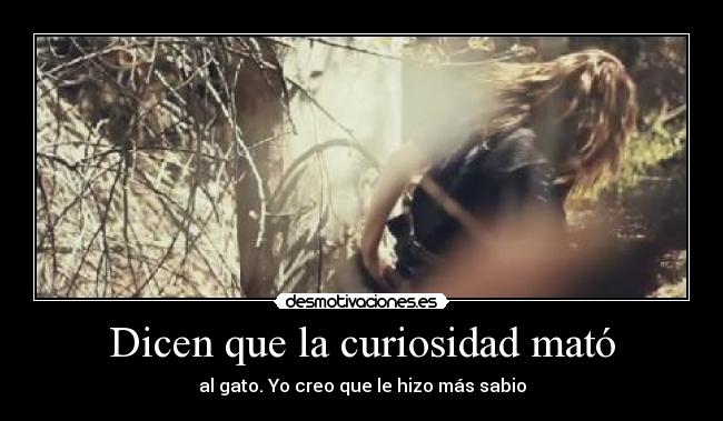 Dicen que la curiosidad mató -