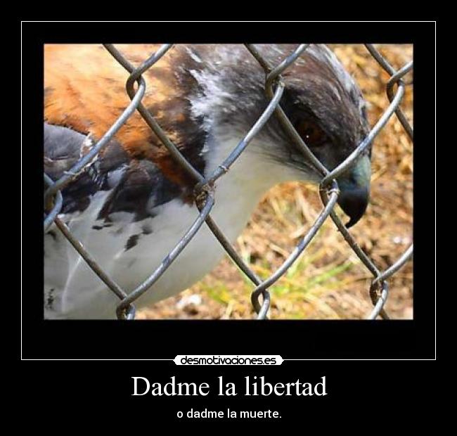 Dadme la libertad - o dadme la muerte.