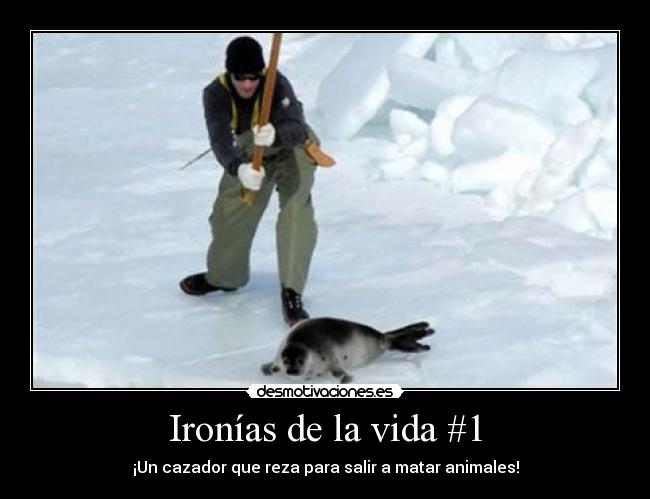 Ironías de la vida #1 - ¡Un cazador que reza para salir a matar animales!