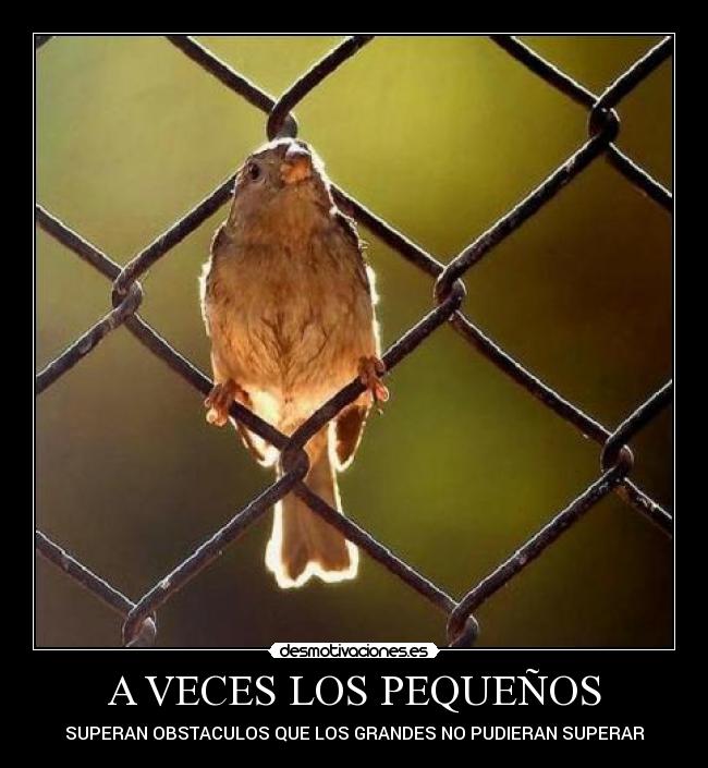 A VECES LOS PEQUEÑOS -