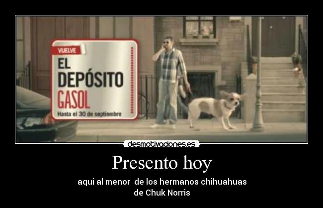 Presento hoy - aqui al menor  de los hermanos chihuahuas
de Chuk Norris