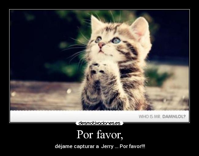 Por favor, - 