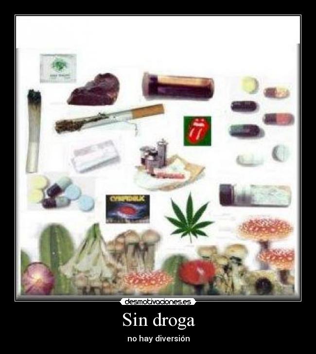 Sin droga -