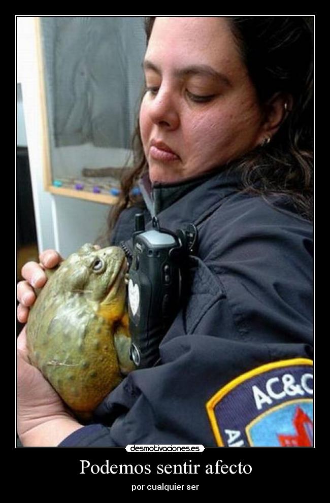 Podemos sentir afecto - por cualquier ser