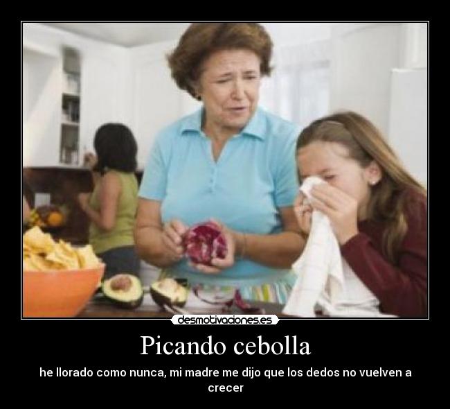 Picando cebolla - he llorado como nunca, mi madre me dijo que los dedos no vuelven a crecer