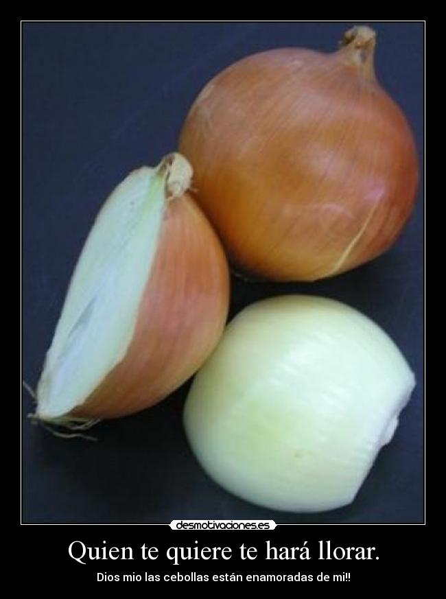 Quien te quiere te hará llorar. - Dios mio las cebollas están enamoradas de mi!!