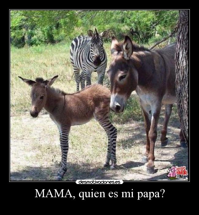 MAMA, quien es mi papa? - 